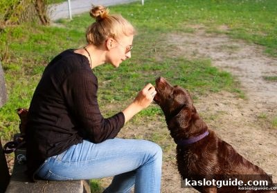 ka电子深度解读：VIP会员体系与升级特权全攻略