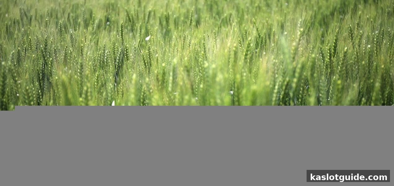 ka电子平台首存奖励全解析：新手必看福利指南