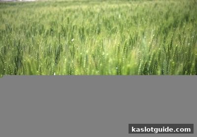 ka电子平台首存奖励全解析：新手必看福利指南