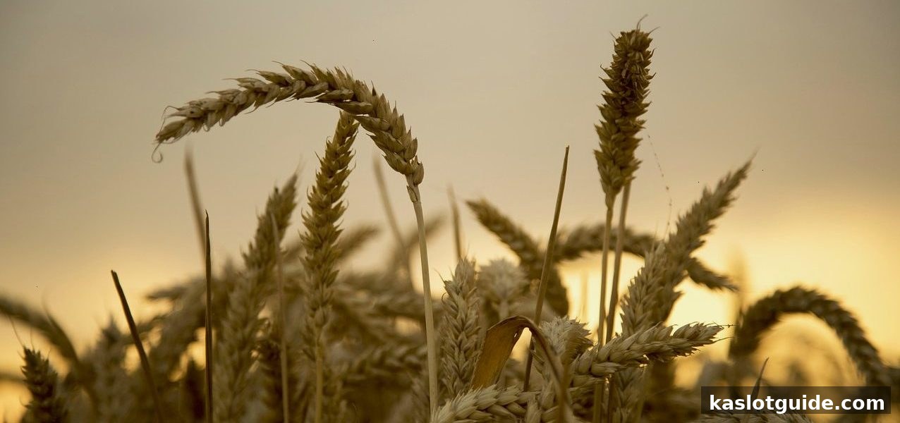 ka电子带你玩转欧冠实时比分与红包活动：观赛赢奖两不误