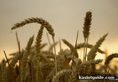 ka电子带你玩转欧冠实时比分与红包活动：观赛赢奖两不误