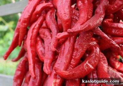 ka电子快3新手必备：返现活动下的心态平衡术